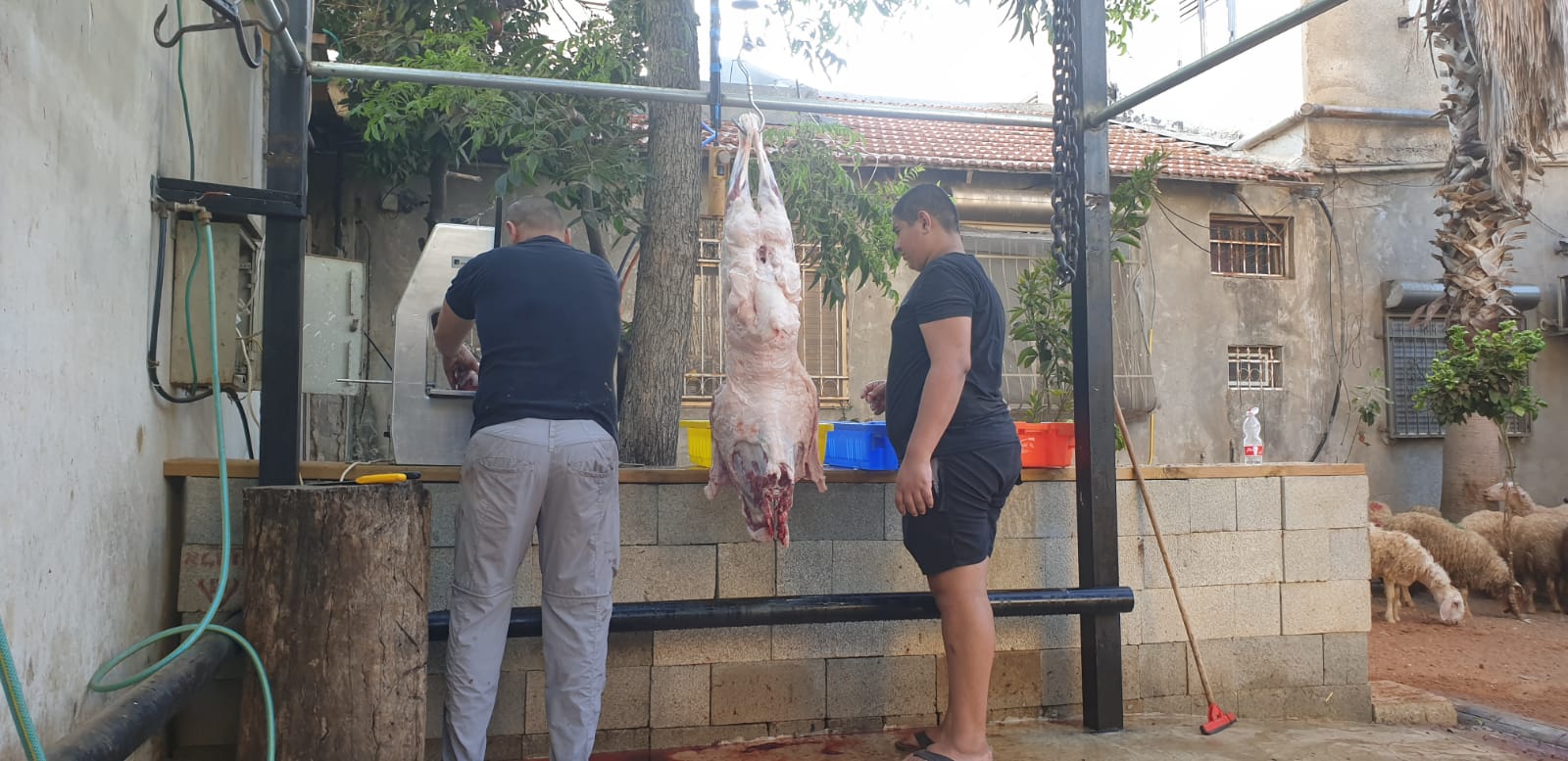 WhatsApp Image 2020-08-24 at 8.14.24 AM (1).jpeg.jpeg